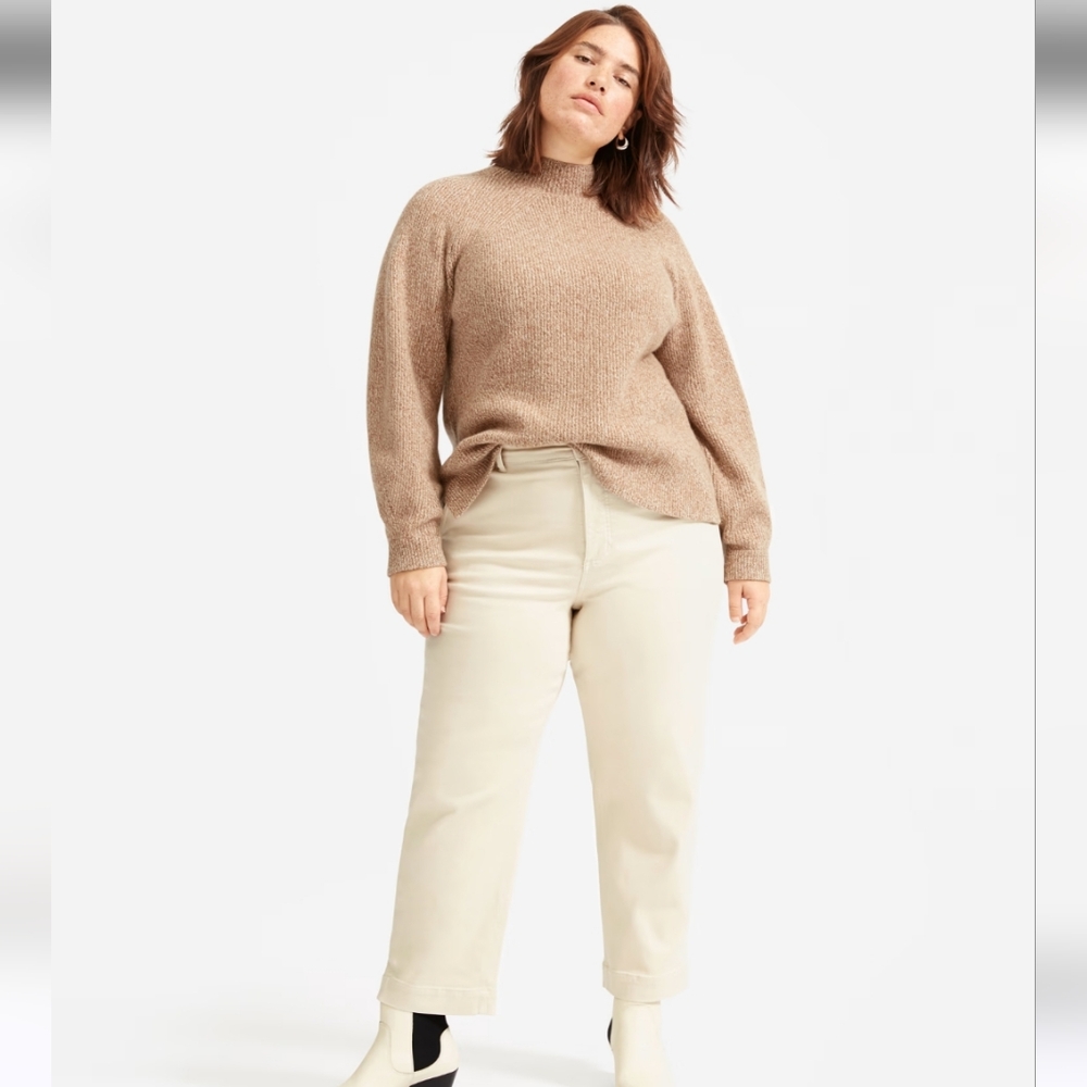 Everlane Straight-Leg Crop Pants